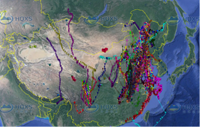 00330fb9bdbe423ea77ce0bfdc070b54.png 图片 3_副本.png